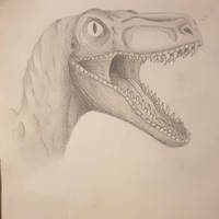 Raptor