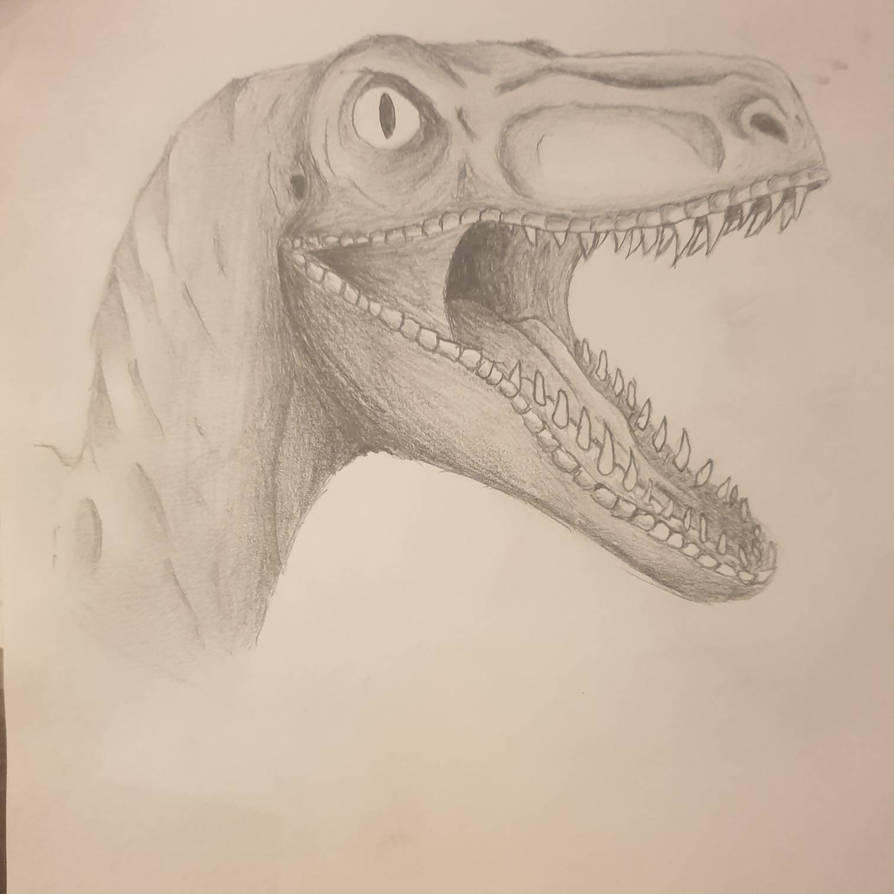 Raptor by Darth-Emily on DeviantArt