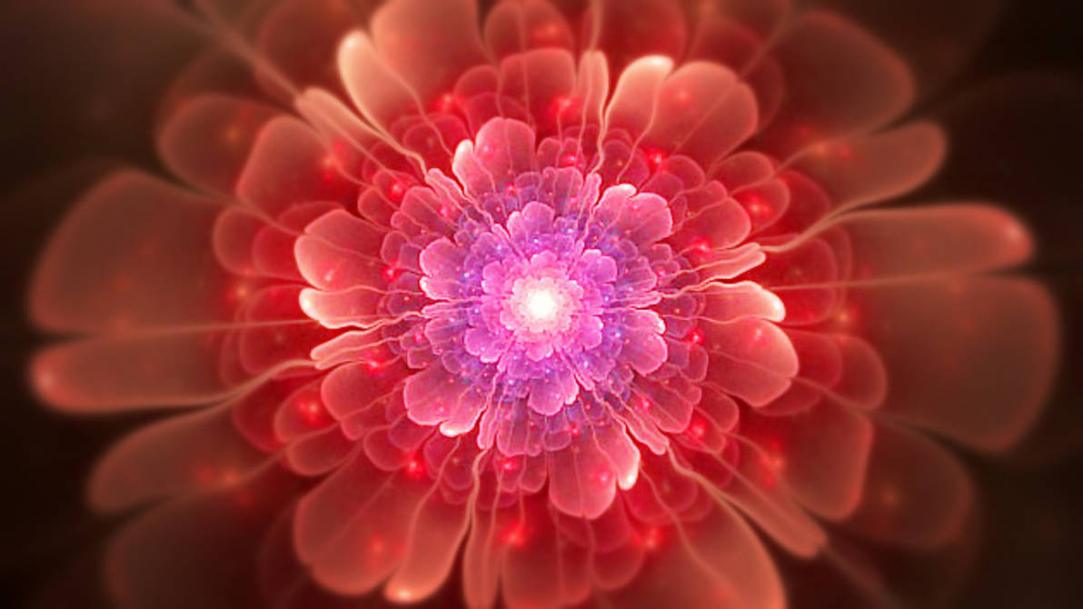 Apophysis Bloom 2