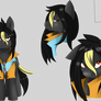 Ebony Badge Ref Sheet