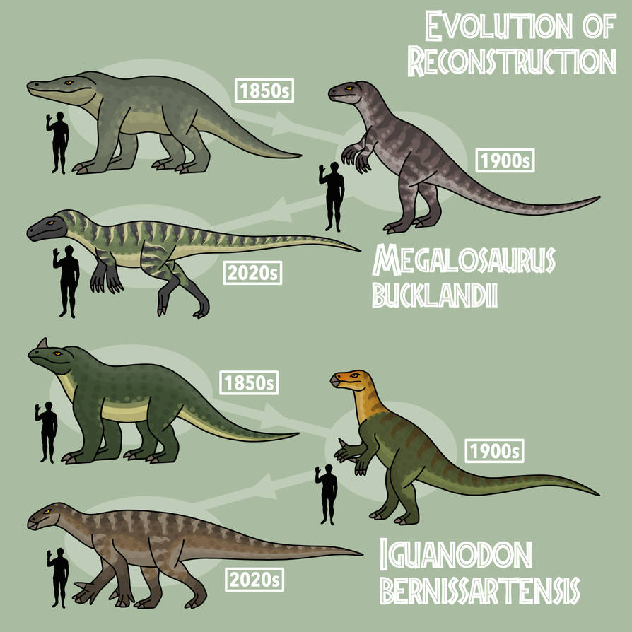 Megalosaurus and iguanodon evolution by bestomator1 on DeviantArt
