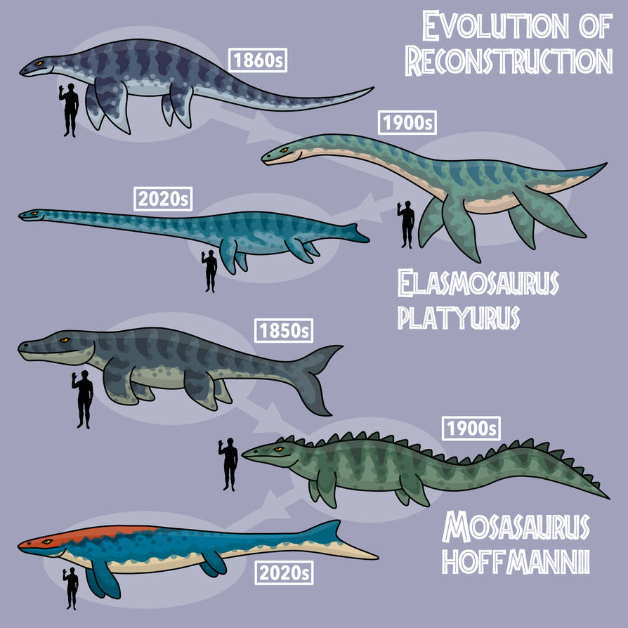 Elasmosaurus and mosasaurus evolution by bestomator1 on DeviantArt