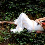 Dreams 2