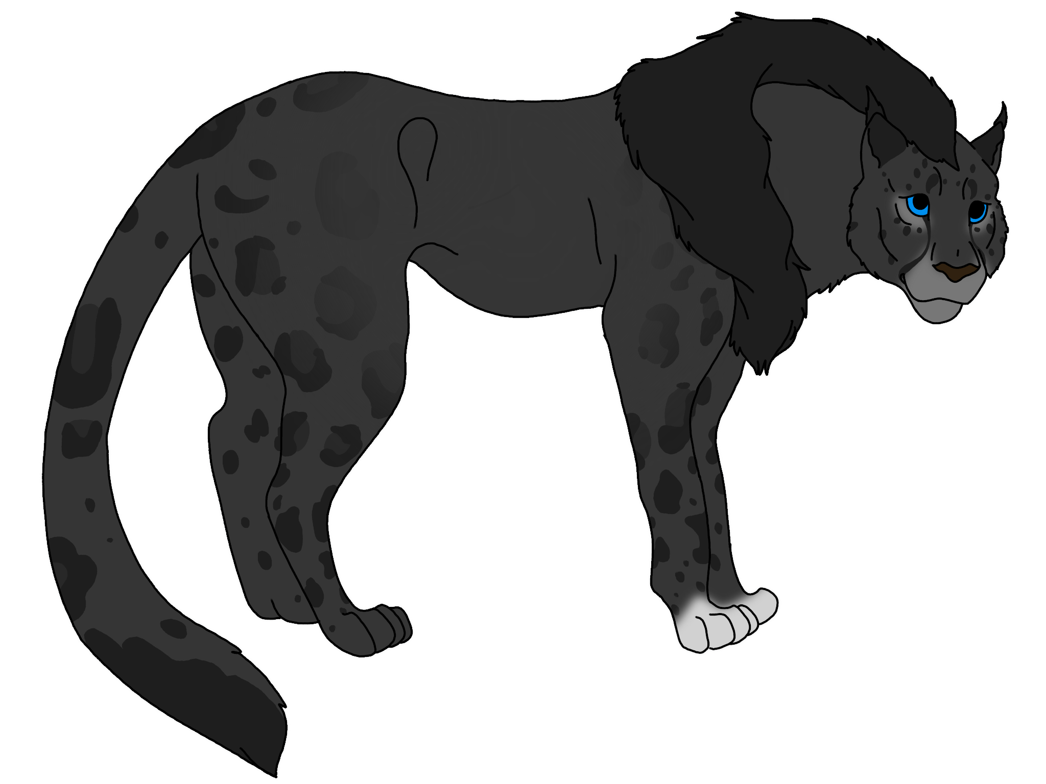 Ryu to Neko Cattery DeviantArt Gallery ryu-to-neko-cattery-deviantart-gallery