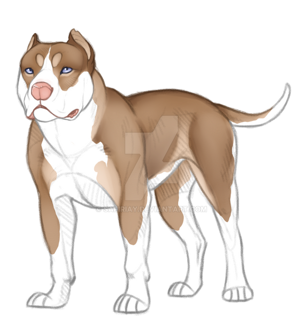 Bully Deviantart Bully Design - SOLD by Safiriay on DeviantArt