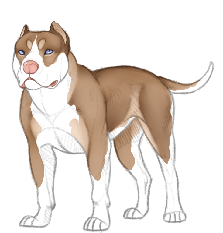 Bullybeta Designs Bully Design - SOLD by Safiriay on DeviantArt
