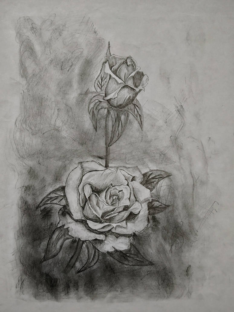 Smokey Roses by Taukeer21 on DeviantArt