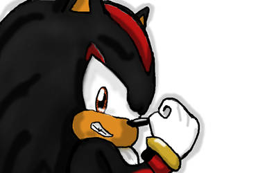 Shadow the Hedgehog