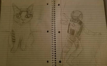 cat n astronaut