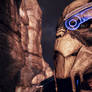 Garrus Vakarian