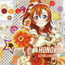 Honoka Kousaka Cover - Autumn Style