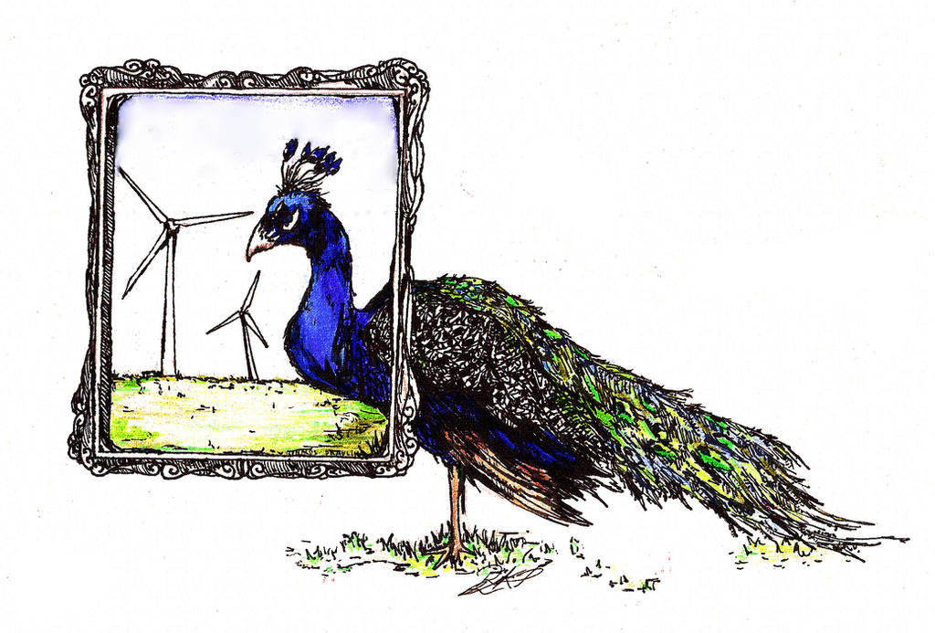 Framed Peacock:.