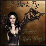 A Dark Fly by Alicelefay