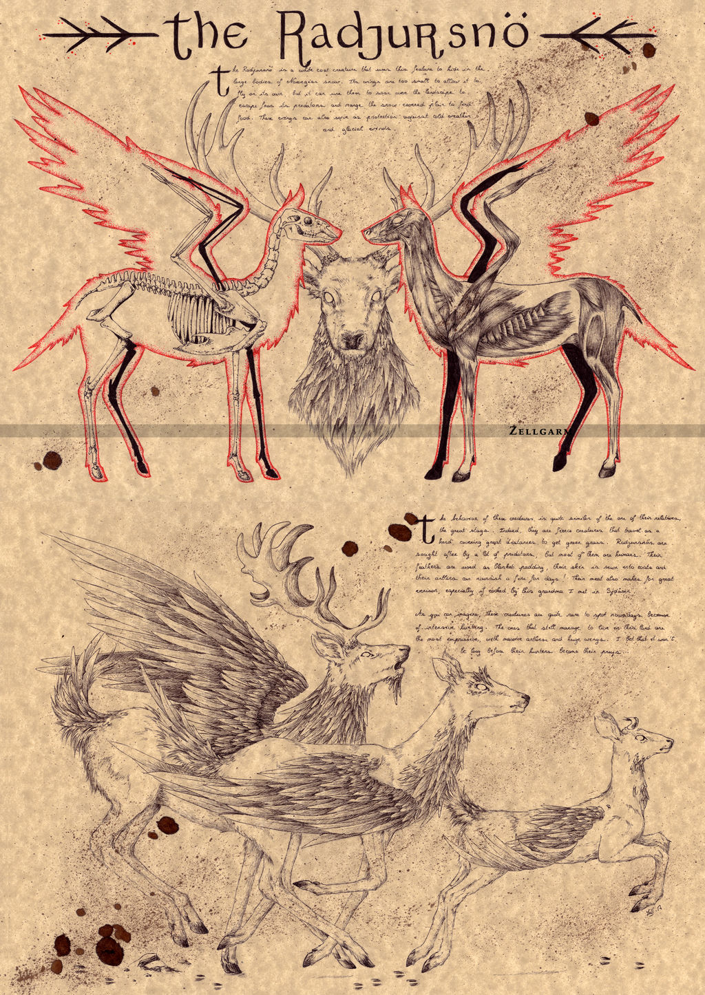 THE RADJURSNO by Zellgarm