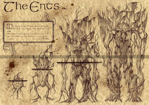 The Ents - Lord of the Rings