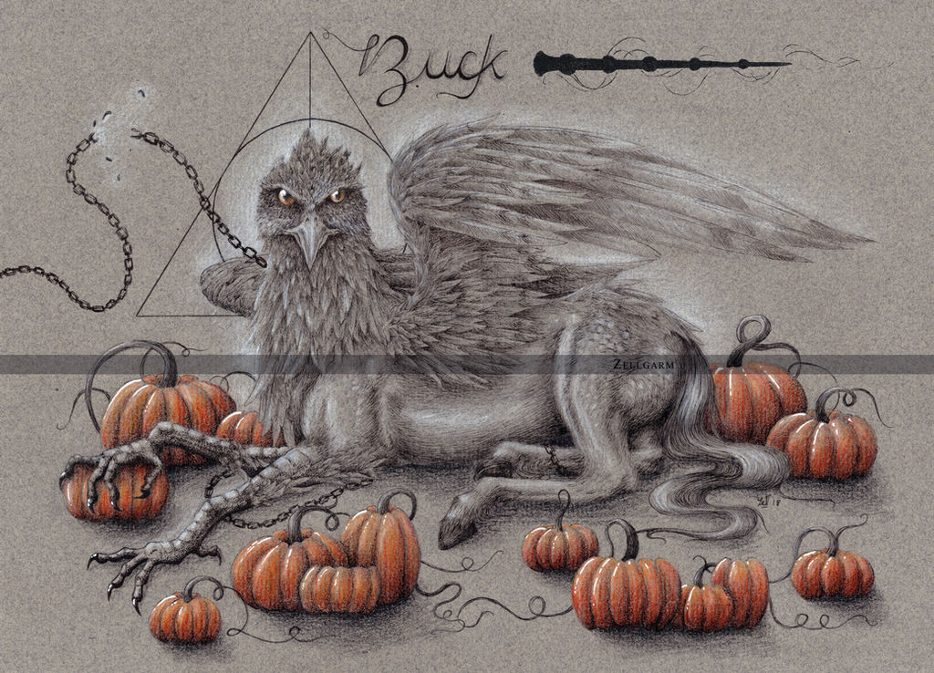 BUCK - HARRY POTTER by Zellgarm