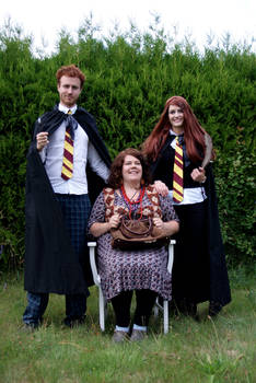 The Weasley Family