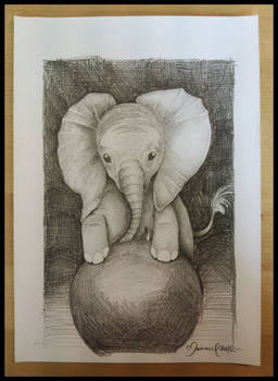 An elephant...