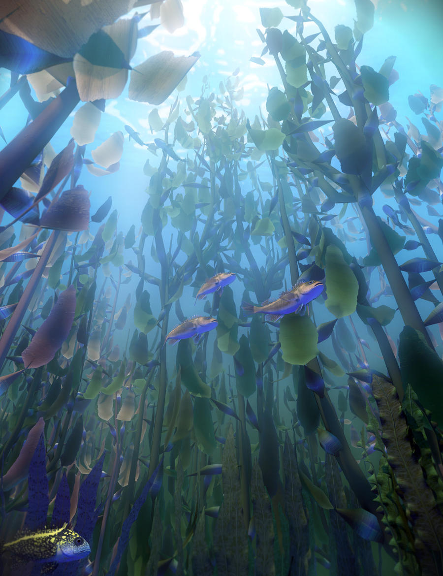 Kelp Forest