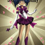 Sailor Destiny