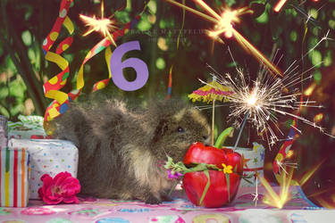 Happy 6th birthday, Churro! by ApopFrauks