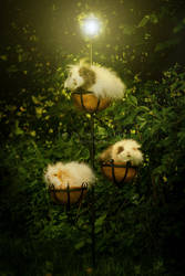 Lantern Pigs. by ApopFrauks