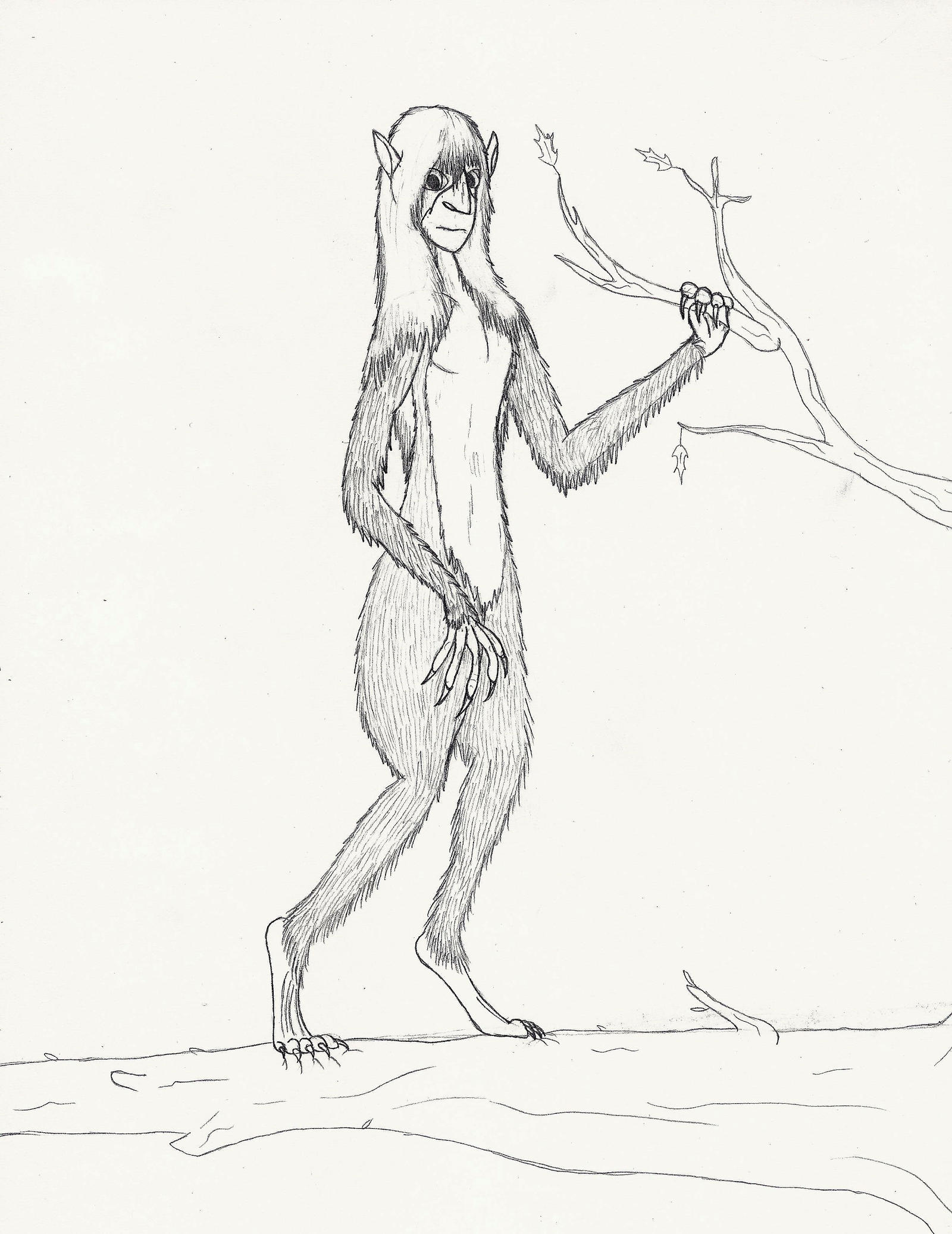 Timber Devil HWE: Wood Devil by Raphus-Wyvernus on DeviantArt