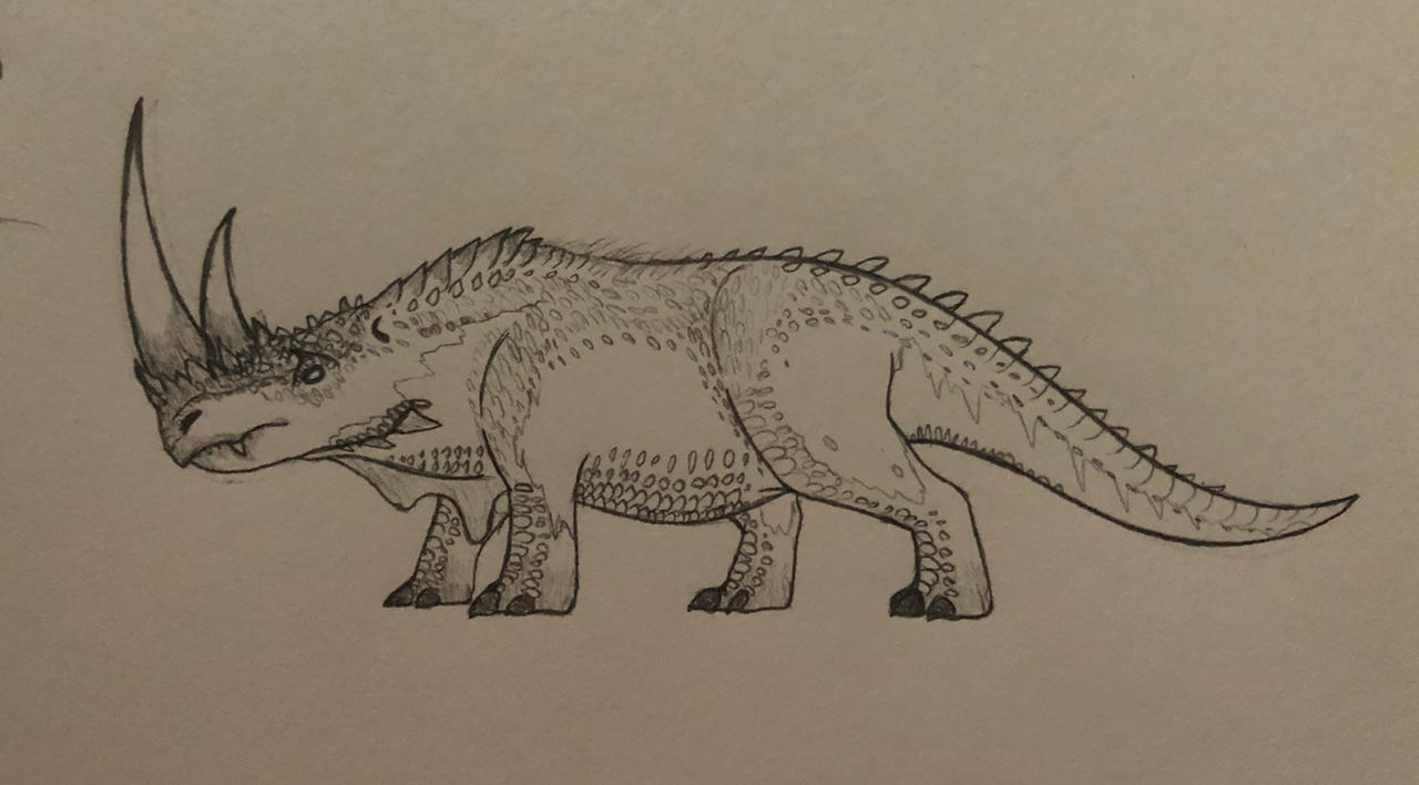 Dinosaur Rinconsaurus Drawing Rhinosaurus by Raphus-Wyvernus on DeviantArt