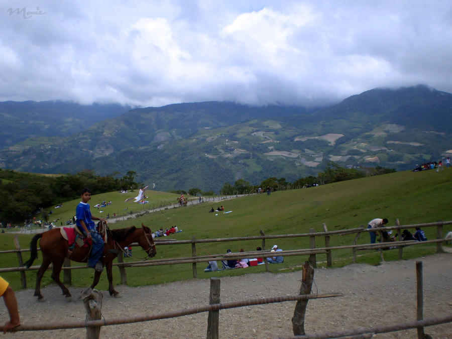 The boy with the horse...