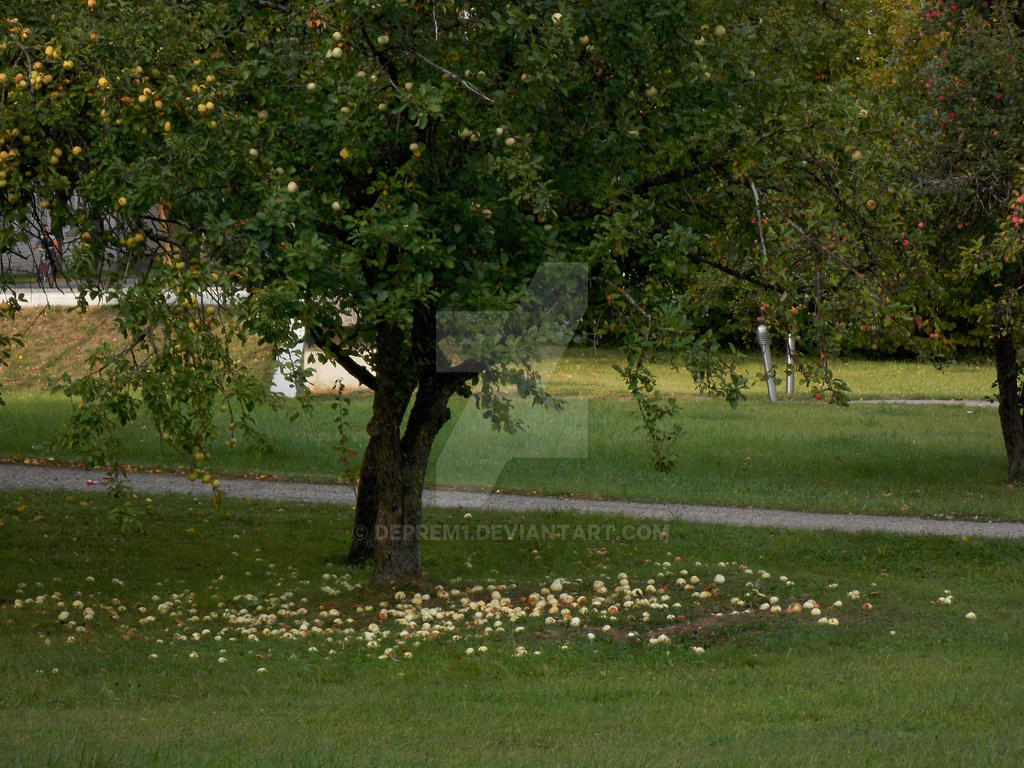 apple tree by Deprem1 on DeviantArt