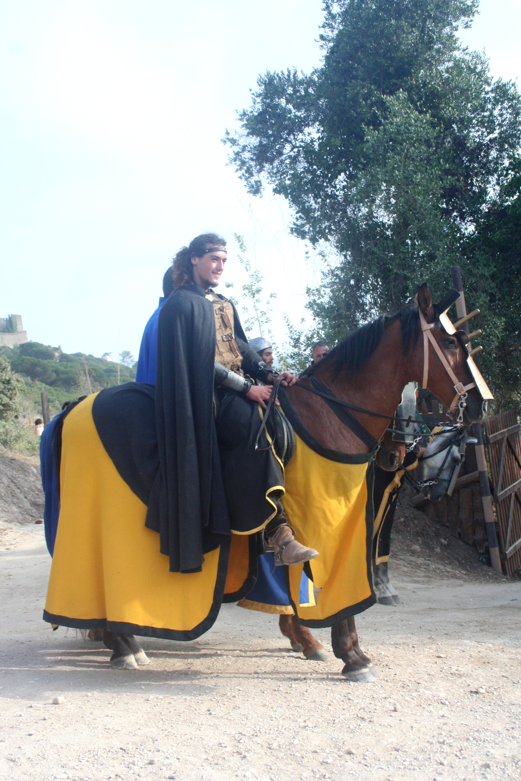 Yellow Knight 02