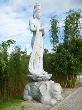 Buddha Eden 07