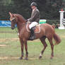 Competition horse 2