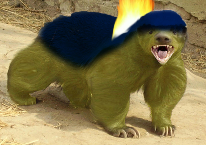 Typhlosion by Wolvestorms on DeviantArt Typhlosion by Wolvestorms on DeviantArt