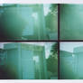 lomo ruth 2