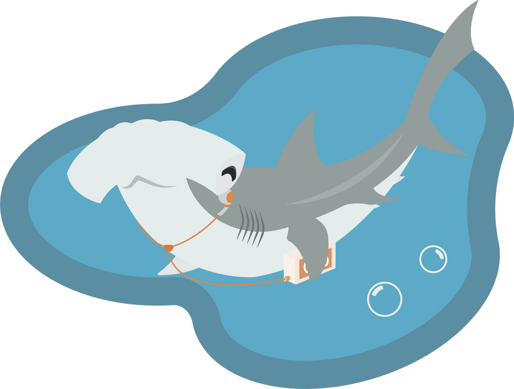 Hammerhead Hard Bop By BluefootedCreations On DeviantArt hammerhead-hard-bop-by-bluefootedcreations-on-deviantart