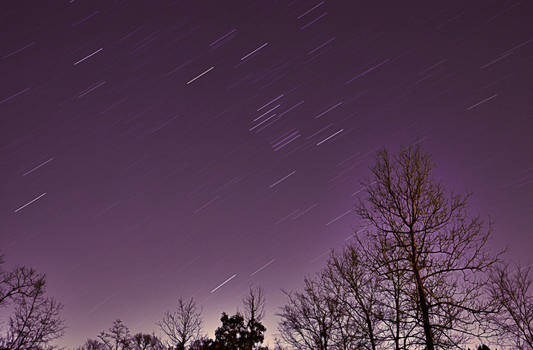 Star Trails