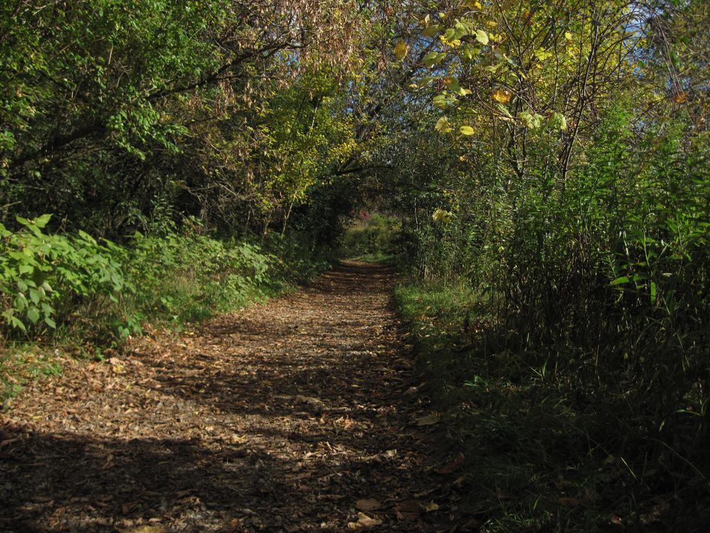 Jitty Path path by IkittyI on DeviantArt