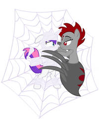 The Spider Pony Trap - Wrap Vector only