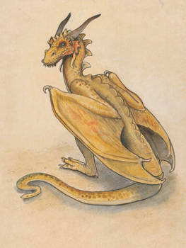 Yellow Wyvern