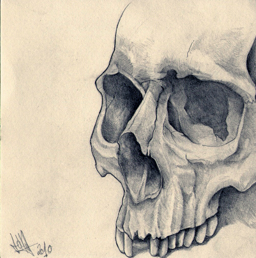 Skull