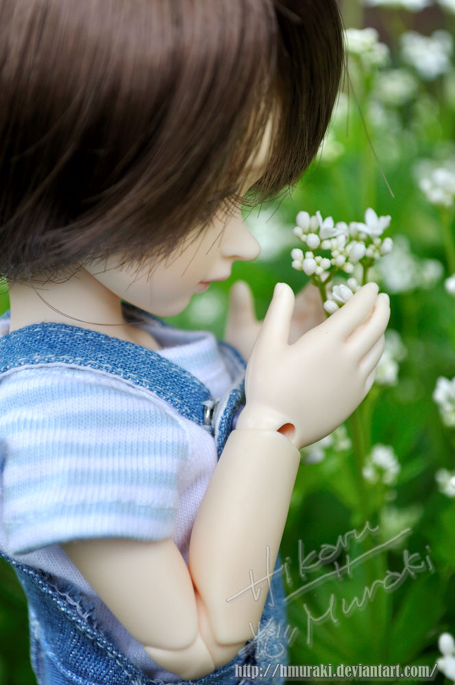 Pretty Little Flowers