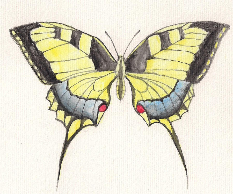 Machaon