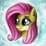 Fluttershy