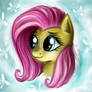 Fluttershy