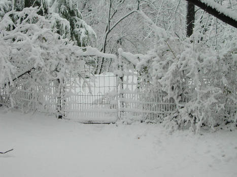 snowy gate