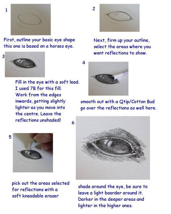 Animal Eye Tutorial