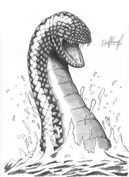 Serpiente de agua / Water serpent