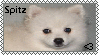 Japanese Spitz Stamp