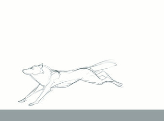 running canine sketch